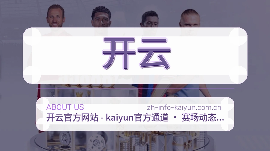 开云关于平台与用户服务展示